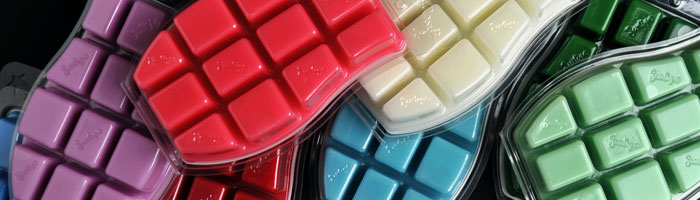 Scentsy Fragrance Bricks Scentsy Fragrance Bricks