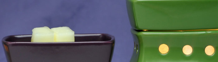 Scentsy Classic Warmers Collection cH Classic CLASSIC COLLECTION
