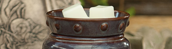 Individual Mid Size Scentsy Warmers Collection cH IndividualMidSize INDIVIDUAL COLLECTION