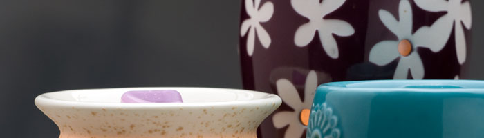 Scentsy Individual Collection Warmers Scentsy Individual Collection Warmers